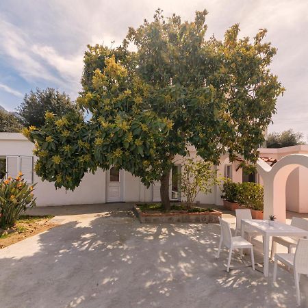 Casa Yucca Villa Forio  Exterior photo