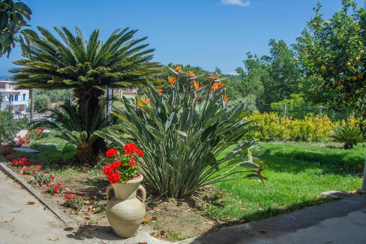 Casa Yucca Villa Forio  Exterior photo