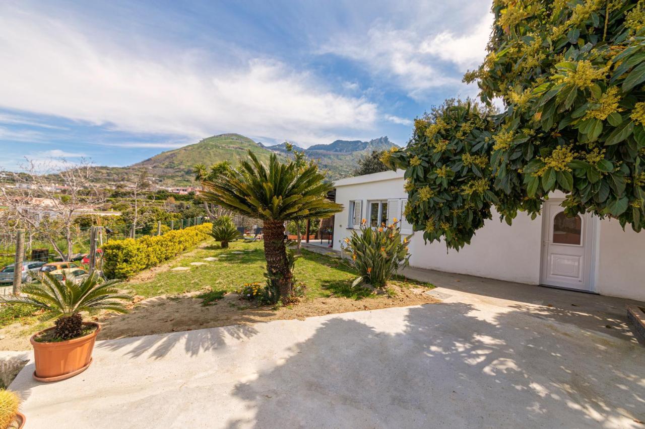 Casa Yucca Villa Forio  Exterior photo