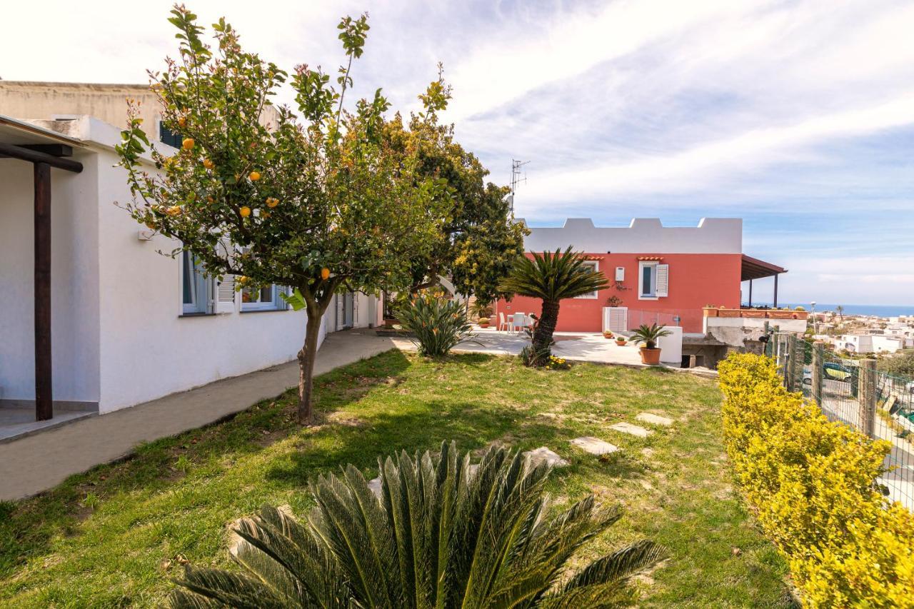 Casa Yucca Villa Forio  Exterior photo