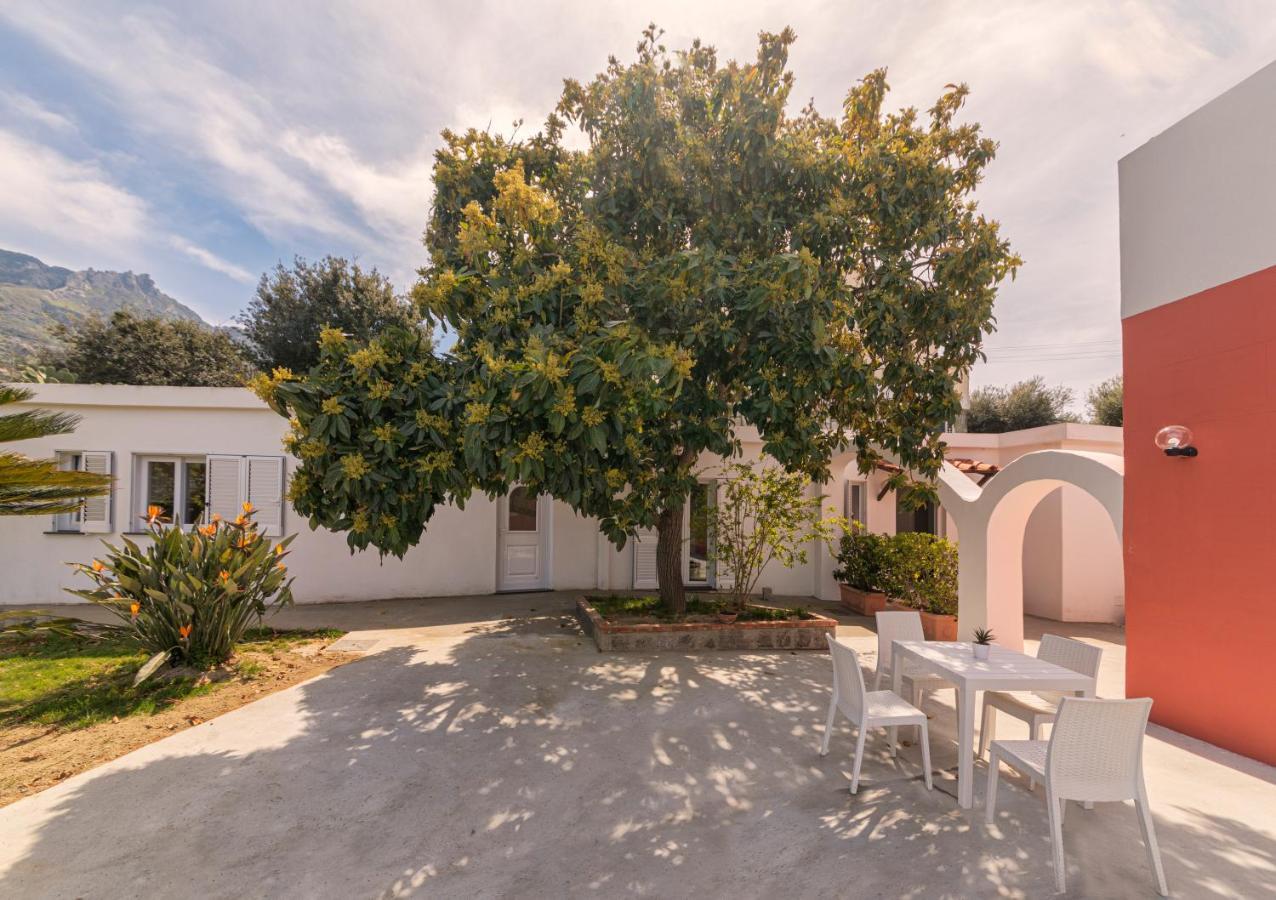 Casa Yucca Villa Forio  Exterior photo